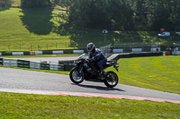 Expert Group Black Bikes